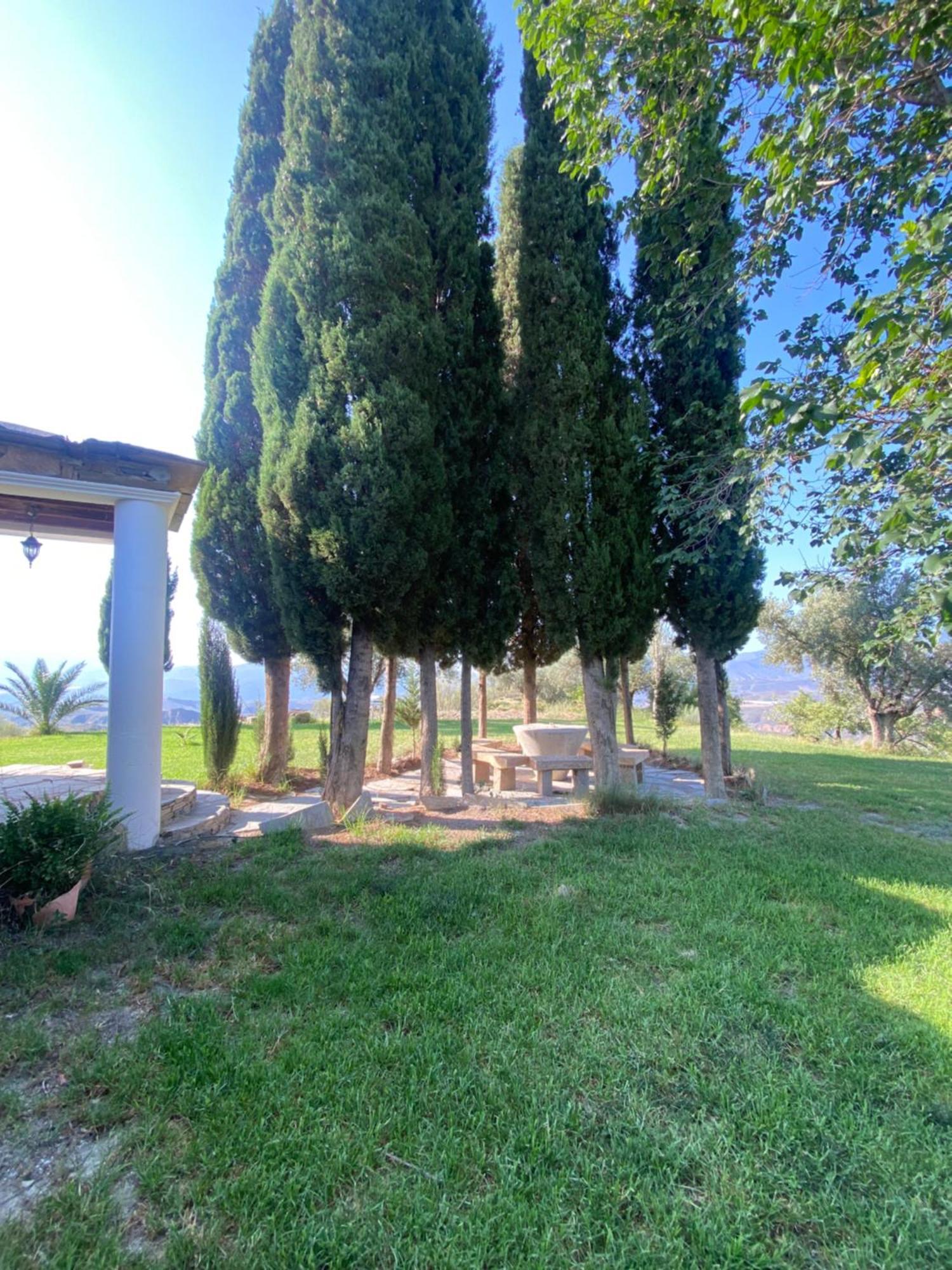 Casa El Higueral Villa Mecina Alfahar Exteriör bild